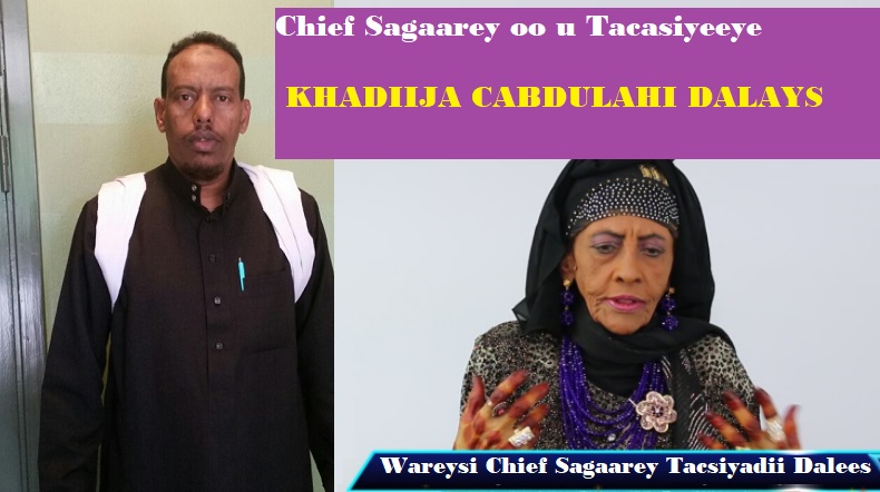 SAGAARAY-image